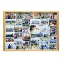 กรอบรูปรวมภาพเป็น Story กิจกรรมบันทึกความทรงจำ